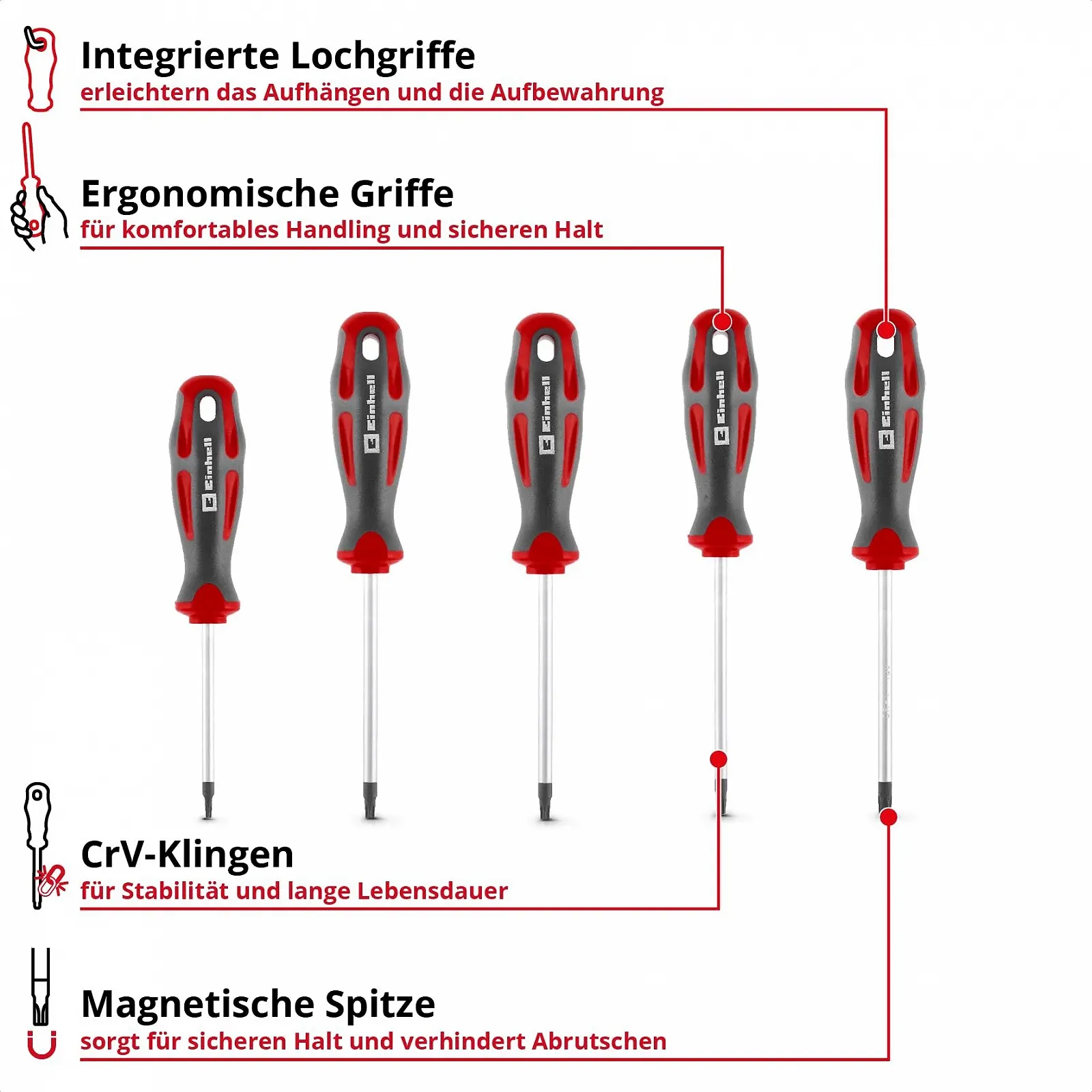 Набір викруток Einhell T-Profile 5 штук CrV Magnetic, фото №2