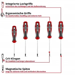Набір викруток Einhell T-Profile 5 штук CrV Magnetic synthetic.ua - Фото 1