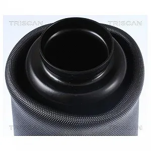 Пневматична пружина підвіски TRISCAN для MERCEDES-BENZ, передня вісь, обидві сторони synthetic.ua - Фото 1