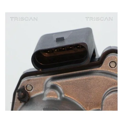 Клапан EGR TRISCAN 8813 29317 для AUDI SKODA VW, фото №2