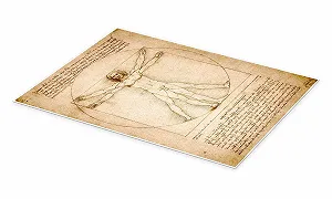 Постер Leonardo da Vinci Vitruvian Man 50 x 70 см Бежевый synthetic.ua - Фото 1