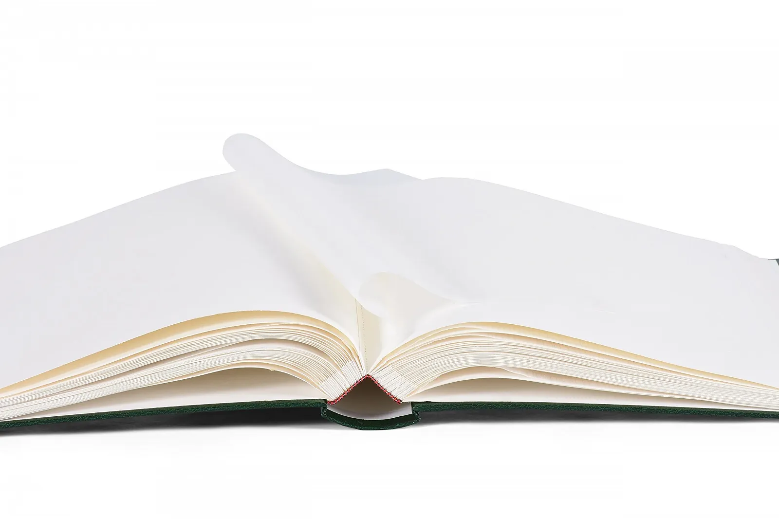 Альбом для воспоминаний Henzo, Зеленый, 36.5 x 30 x 6 см, фото №3 Альбом для воспоминаний Henzo, Зеленый, 36.5 x 30 x 6 см, фото №3