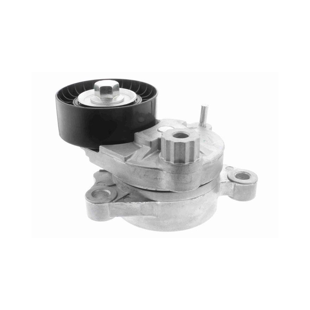 Натягувач ременя, поліклиновий ремінь VAICO V42-7148, фото №1