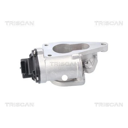 Клапан EGR TRISCAN 8813 25201 для RENAULT SUZUKI, фото №2