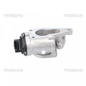 Клапан EGR TRISCAN 8813 25201 для RENAULT SUZUKI synthetic.ua - Фото 1