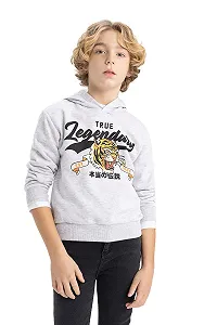 Толстовка с капюшоном DeFacto для мальчиков - Фото 1