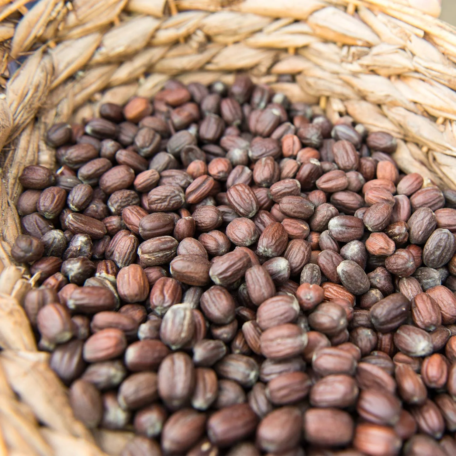 Крем для рук WELEDA Organic Sensitive Без запаха с органическим маслом жожоба и кокосовым маслом, фото №5