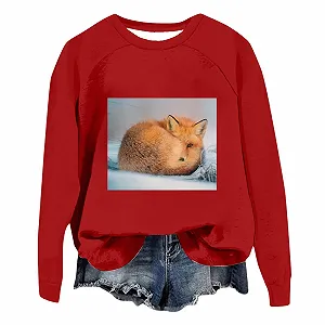 Рождественский свитер Женский Осенне-зимний Теплый Цветной блок Свободный Круглый вырез Без капюшона Легкий свитшот для женщин - Фото 1