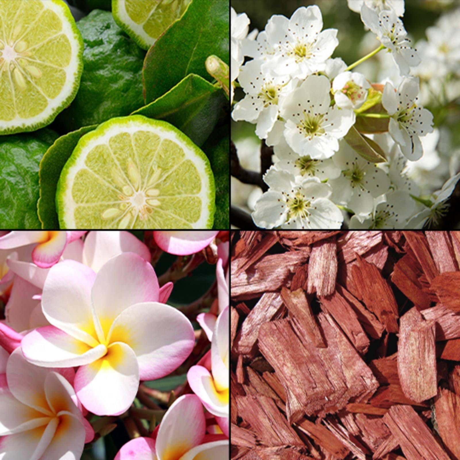 Набір для душу та ванни Tesori d'Oriente Karma Ароматичний крем-гель та крем-піна Лимон, бергамот і кедр, фото №7