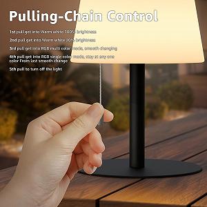 Настільна лампа LED Battery Outdoor Wireless Dimmable 7 Colours USB Чорний synthetic.ua - Фото 1