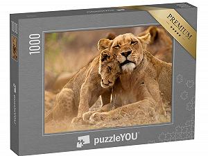 Пазл puzzleYOU Puzzle Collection Lions, Safari, Animals in Savannah & Desert Львица и львенок в национальном парке Крюгера, ЮАР 1000 элементов - Фото 1