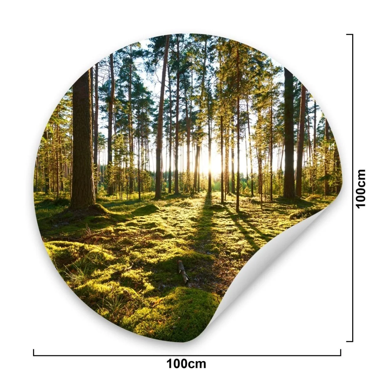 Наклейка на стіну Muralo Circle Trees Forest Sun Rays 100 x 100 см, 3D, фото №2 Наклейка на стіну Muralo Circle Trees Forest Sun Rays 100 x 100 см, 3D, фото №2