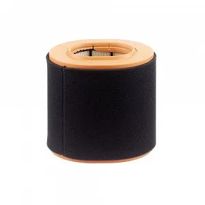 Повітряний фільтр MANN-FILTER C 20 043 для FIAT - Фото 1