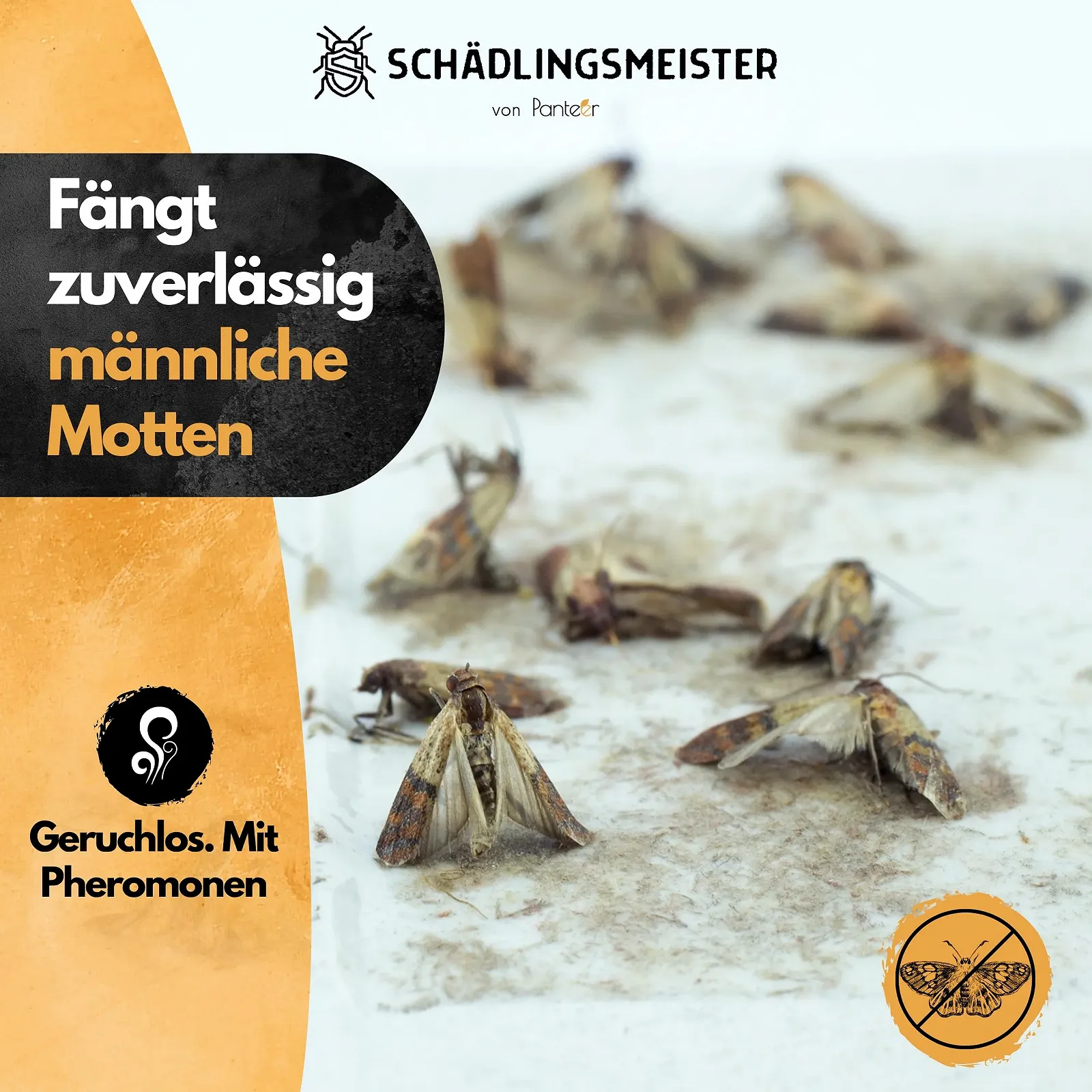 Ловушка для моли SchäDLINGSMÄSTER набор 6 шт. феромонная для пищевой моли, фото №4