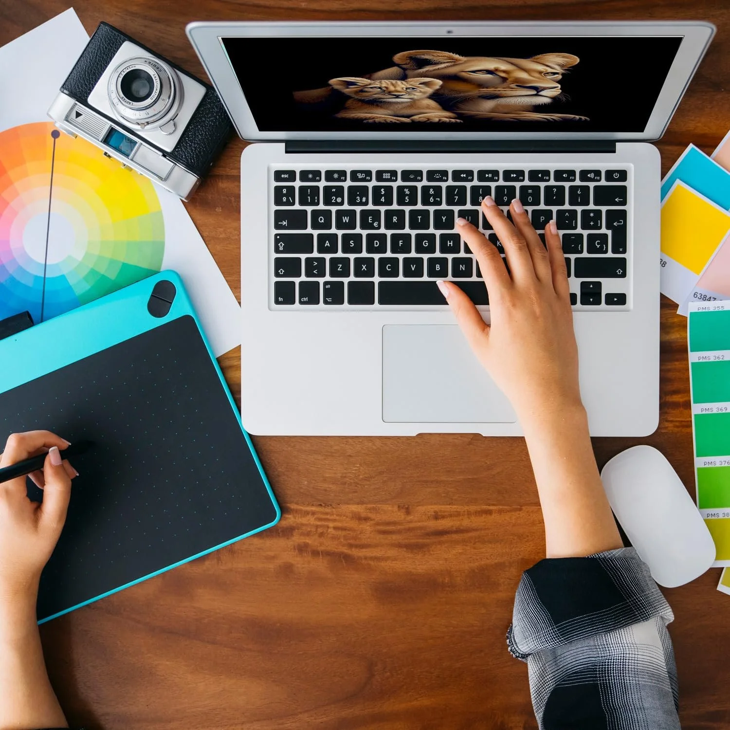 Скарбничка Lioness with Baby Lion керамічна різнокольорова, фото №8