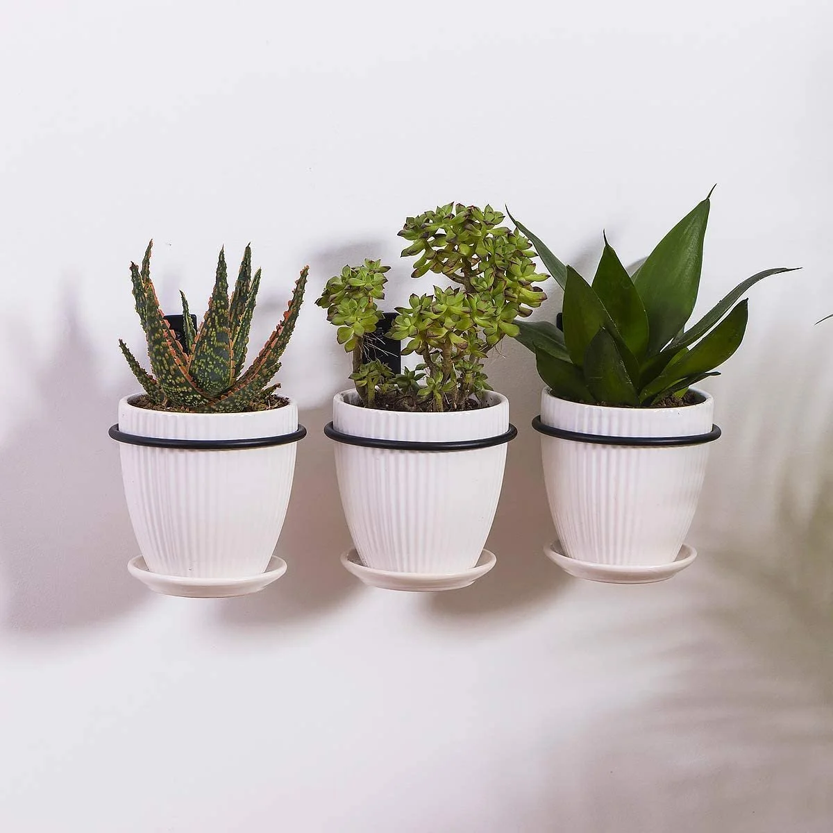 Держатели для цветочных горшков Кольца Набор 3 шт 6 дюймов Настенные Черные, фото №4