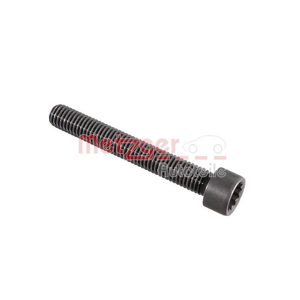 Болт оси коромысел METZGER 2411066 для AUDI SEAT SKODA VW, фото №1