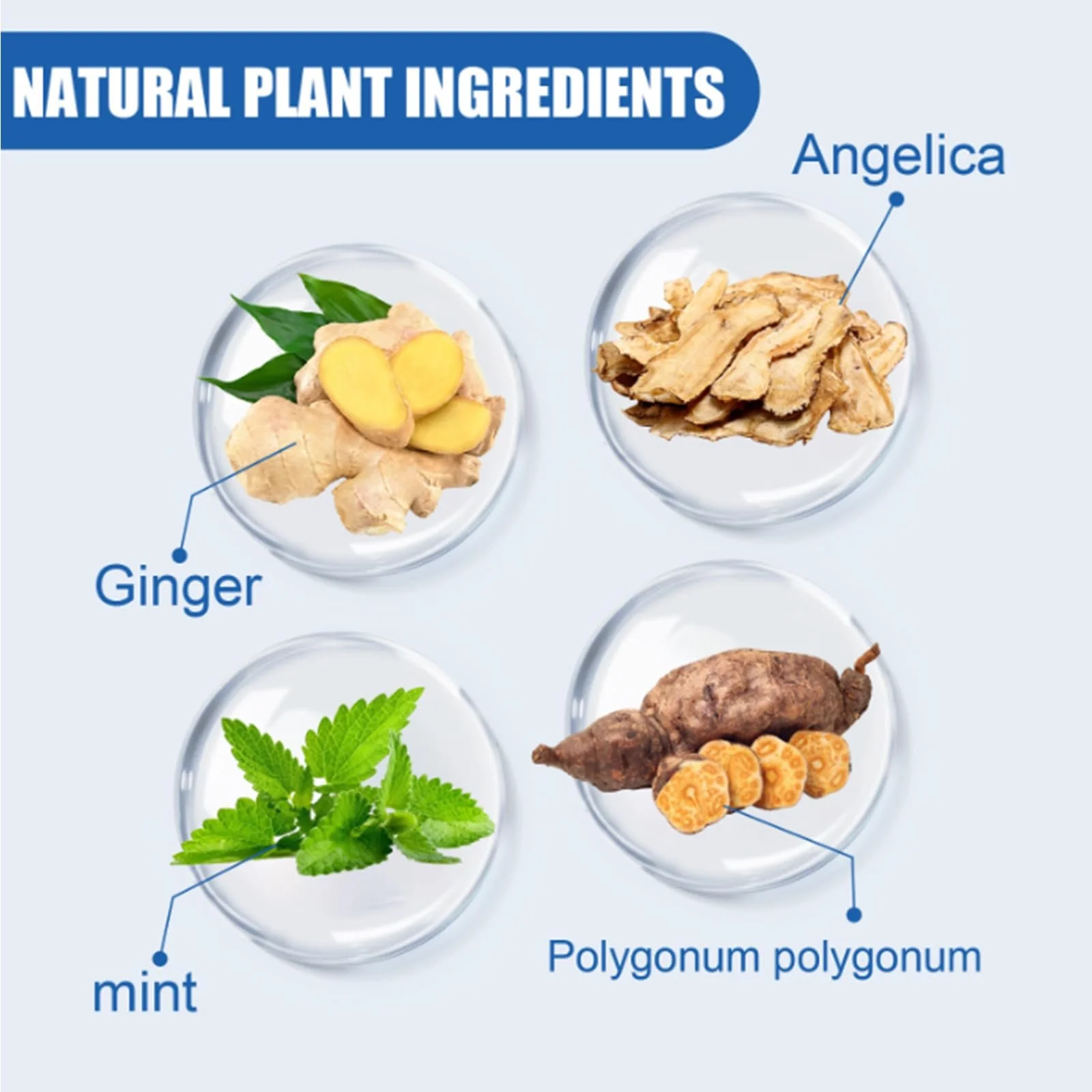 Сироватка для росту волосся Biotin Und Rizinus Haarwachstum Haarwachstum Lösung Anti Haarausfall для чоловіків та жінок, фото №6 Сироватка для росту волосся Biotin Und Rizinus Haarwachstum Haarwachstum Lösung Anti Haarausfall для чоловіків та жінок, фото №6