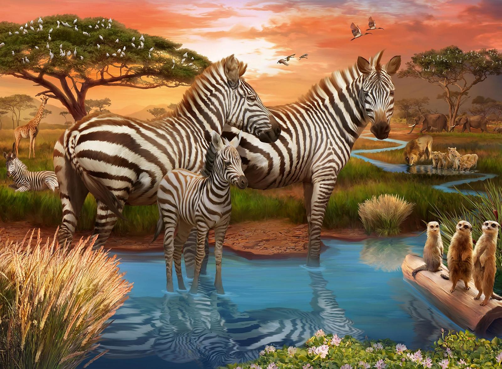 Пазл Ravensburger Zebras on the Water Hole 12000365 500 элементов, фото №1