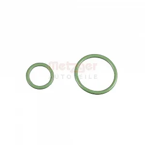 Комплект прокладок ТНВД METZGER GREENPARTS 0873069 для CITROËN FIAT FORD - Фото 1