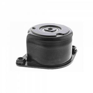 Натяжитель ремня, поликлиновой ремень VAICO V20-2627 для BMW - Фото 1