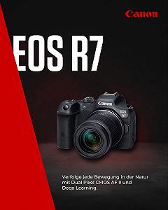 Беззеркальная камера Canon EOS R7 + Объектив RF-S 18-150 мм F3.5-6.3 IS STM (обновление DSLR, гибридная камера, видеозапись 4K/30p, до 15 кадров/с, WiFi) Черный - Фото 1