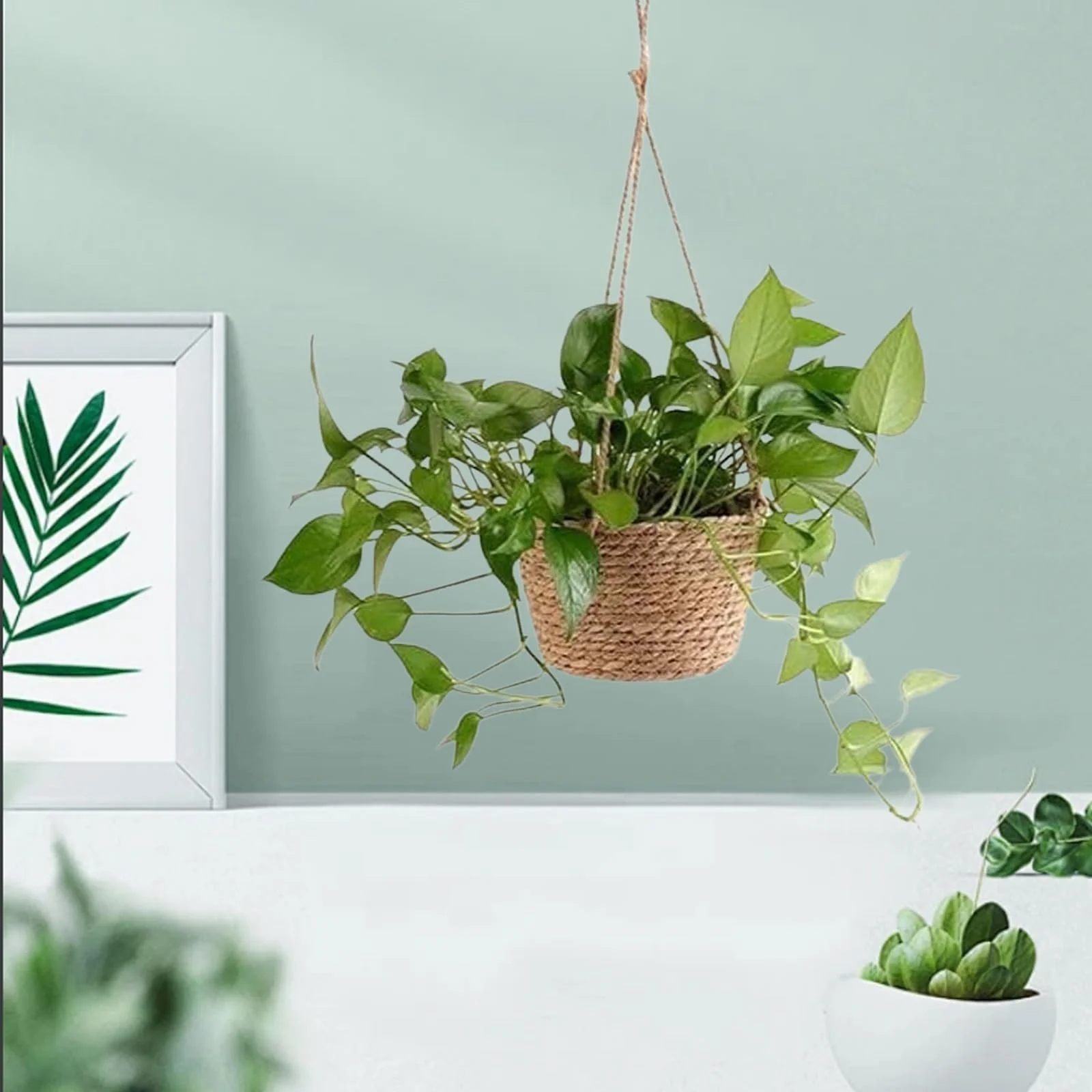 Підвісний плетений кошик для кашпо макраме бавовняна мотузка, фото №6