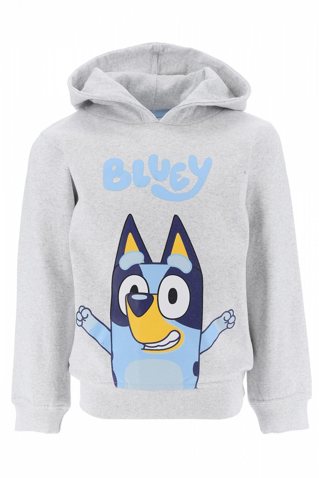Худі BlueY для хлопчиків і дівчаток, дитяча толстовка, фото №1