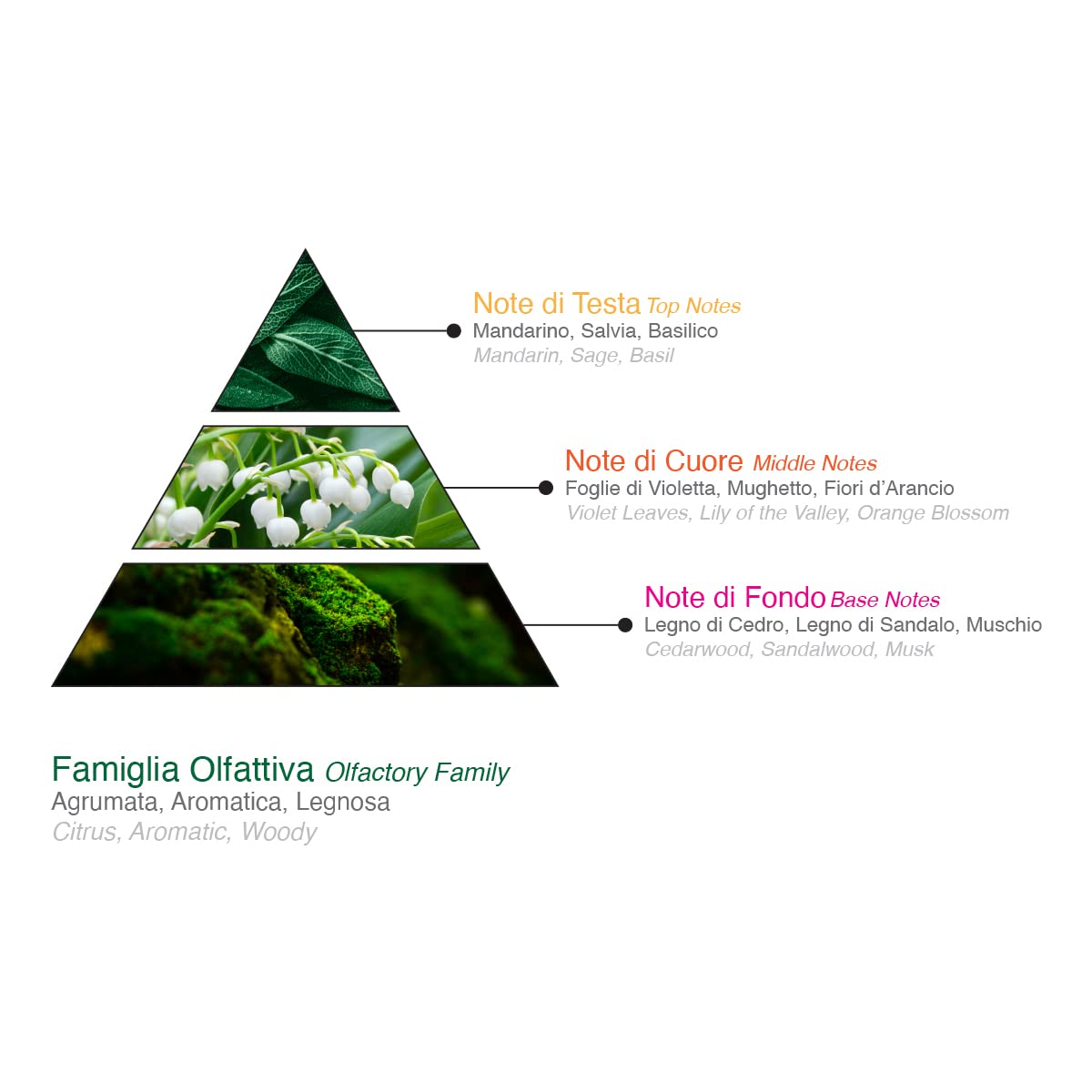 Парфюм FIAT 500 Eau de Parfum Цитрусовый Ароматический Древесный Унисекс 50 мл, фото №6