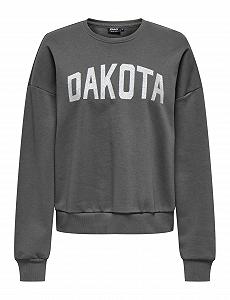 Жіночий світшот ONLY Onljolana L/S Glitter O-Neck SWT - Фото 1