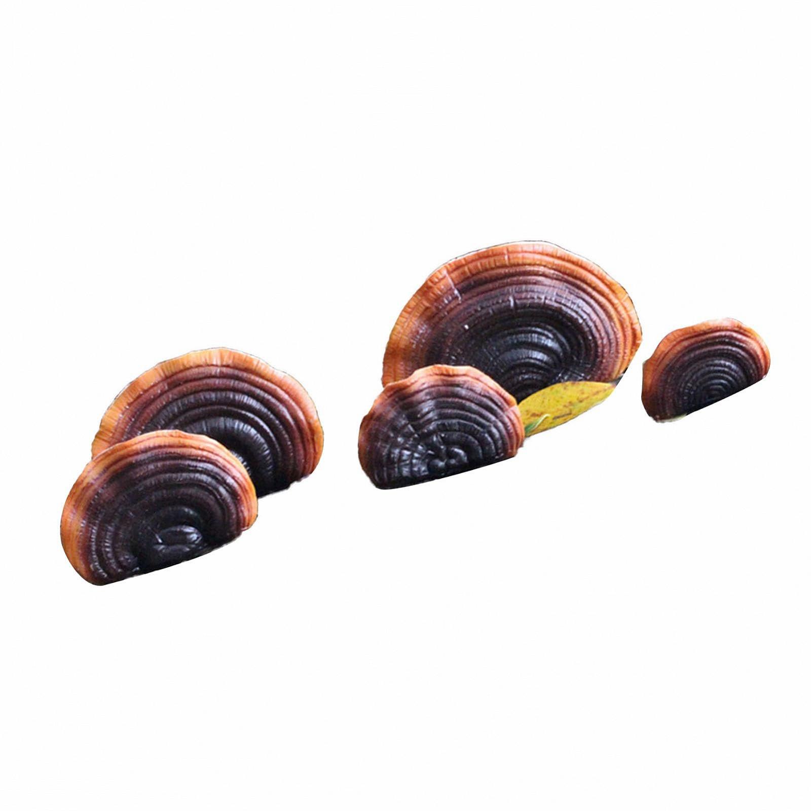 Декоративна настінна полиця Eujgoov Міні-імітація гриба Рейші з полірезину для саду та патіо, фото №3