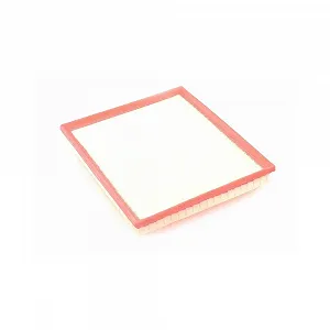 Воздушный фильтр VAICO V25-1762 для FORD - Фото 1