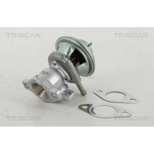 EGR-клапан TRISCAN 8813 15029 для FIAT IVECO, фото №2