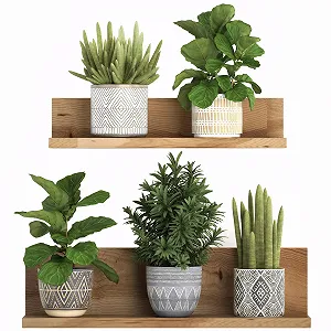 Наклейка на стіну Рослини 3D Кактус Квіти Бонсай Ваза Самоклейна 3 шт. - Фото 1