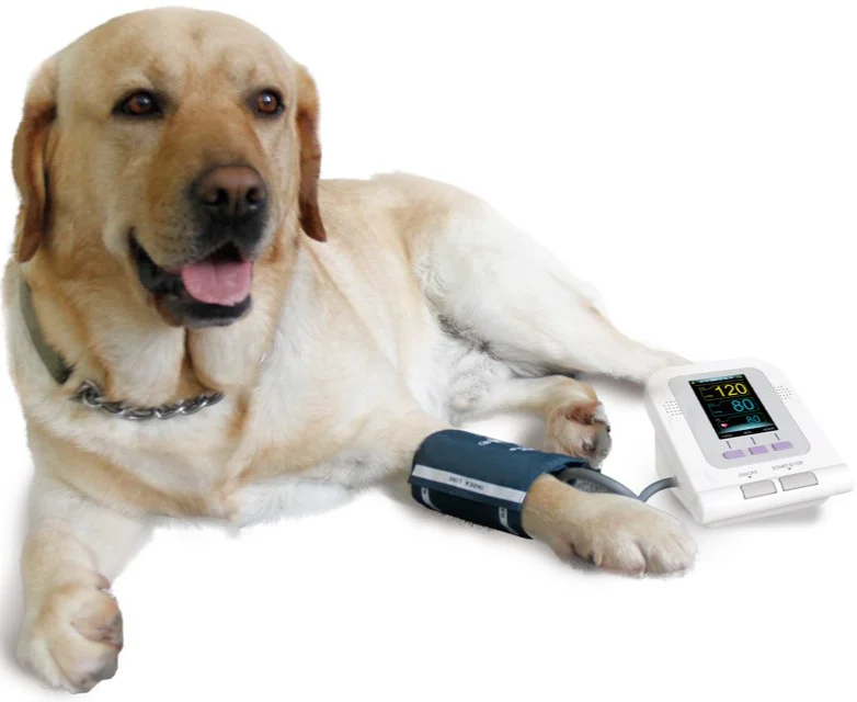 Тонометр ветеринарный GIMA Белый, фото №3 Тонометр ветеринарный GIMA Белый, фото №3