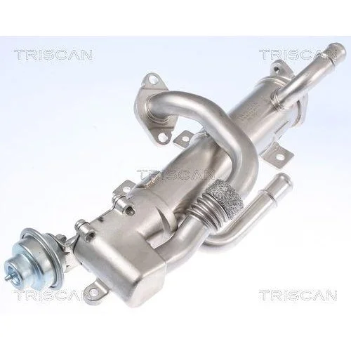 Радиатор EGR TRISCAN 8813 29333 для AUDI HITACHI, фото №2