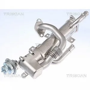 Радиатор EGR TRISCAN 8813 29333 для AUDI HITACHI synthetic.ua - Фото 1