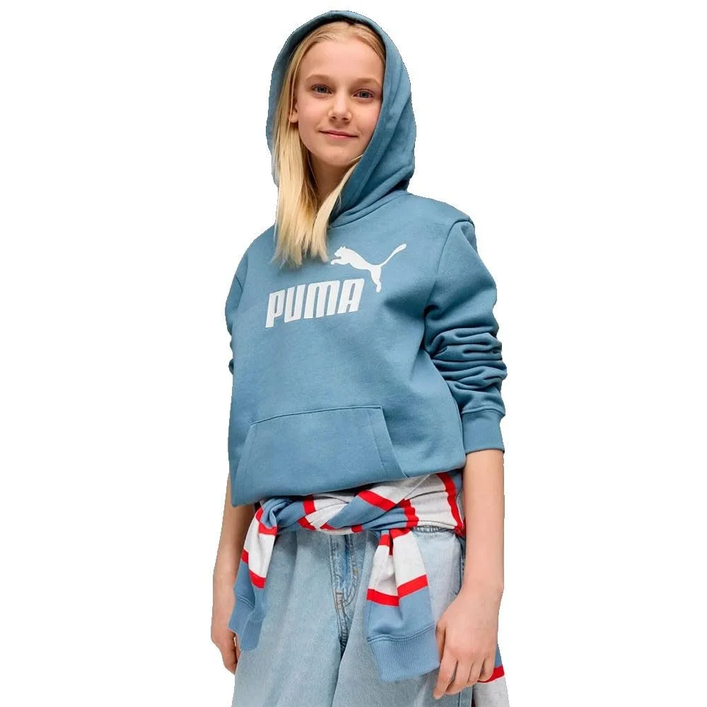 Худи PUMA ESS No. 1 Logo Hoodie FL G, фото №3 Худи PUMA ESS No. 1 Logo Hoodie FL G, фото №3