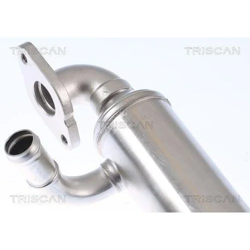 Радиатор EGR TRISCAN 8813 29343 для VW, фото №4