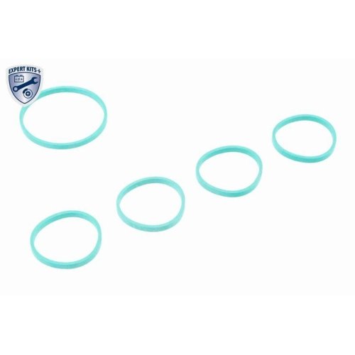 Модуль впускного коллектора VAICO EXPERT KITS + V10-5427 для SEAT SKODA VW VAG, фото №4 Модуль впускного коллектора VAICO EXPERT KITS + V10-5427 для SEAT SKODA VW VAG, фото №4