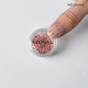 Набор сухоцветов для ногтей NÉONAIL Nail Art Flowers Set 3 цвета Pink, Purple, Orange synthetic.ua - Фото 1