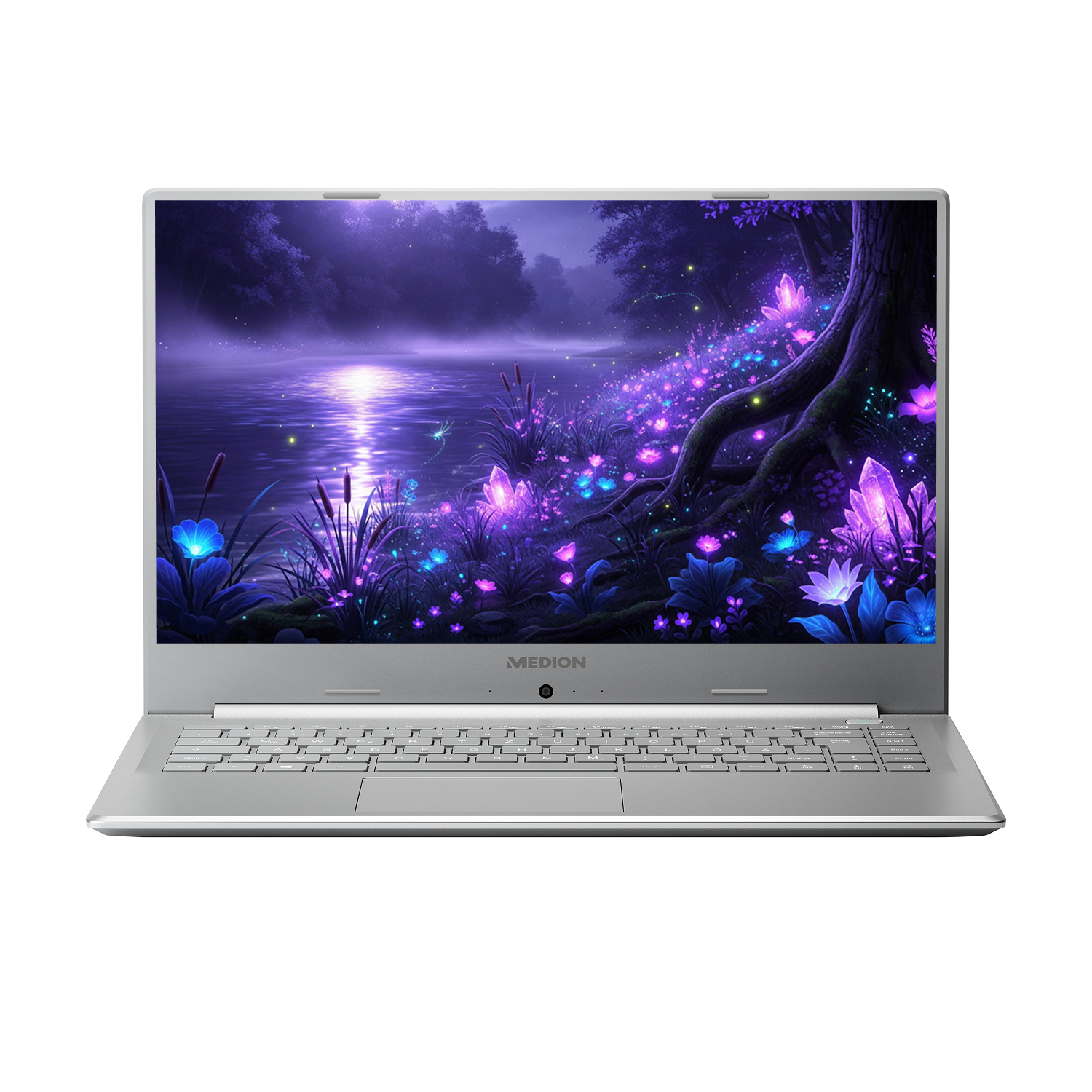 Ноутбук 15.6'' Medion (Lenovo Group) Akoya P15645 | Intel Core i7-8565U | IPS (1920x1080) FullHD | RAM 8 ГБ | SSD 256 ГБ | Intel UHD Graphics 620 | Nvidia GeForce MX250 | Металевий корпус | Win11 (5016), фото №1
