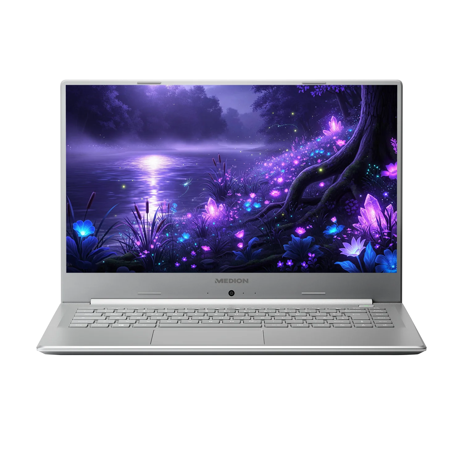 Ноутбук 15.6'' Medion (Lenovo Group) Akoya P15645 | Intel Core i7-8565U | IPS (1920x1080) FullHD | RAM 8 ГБ | SSD 256 ГБ | Intel UHD Graphics 620 | Nvidia GeForce MX250 | Металевий корпус | Win11 (5016), фото №1