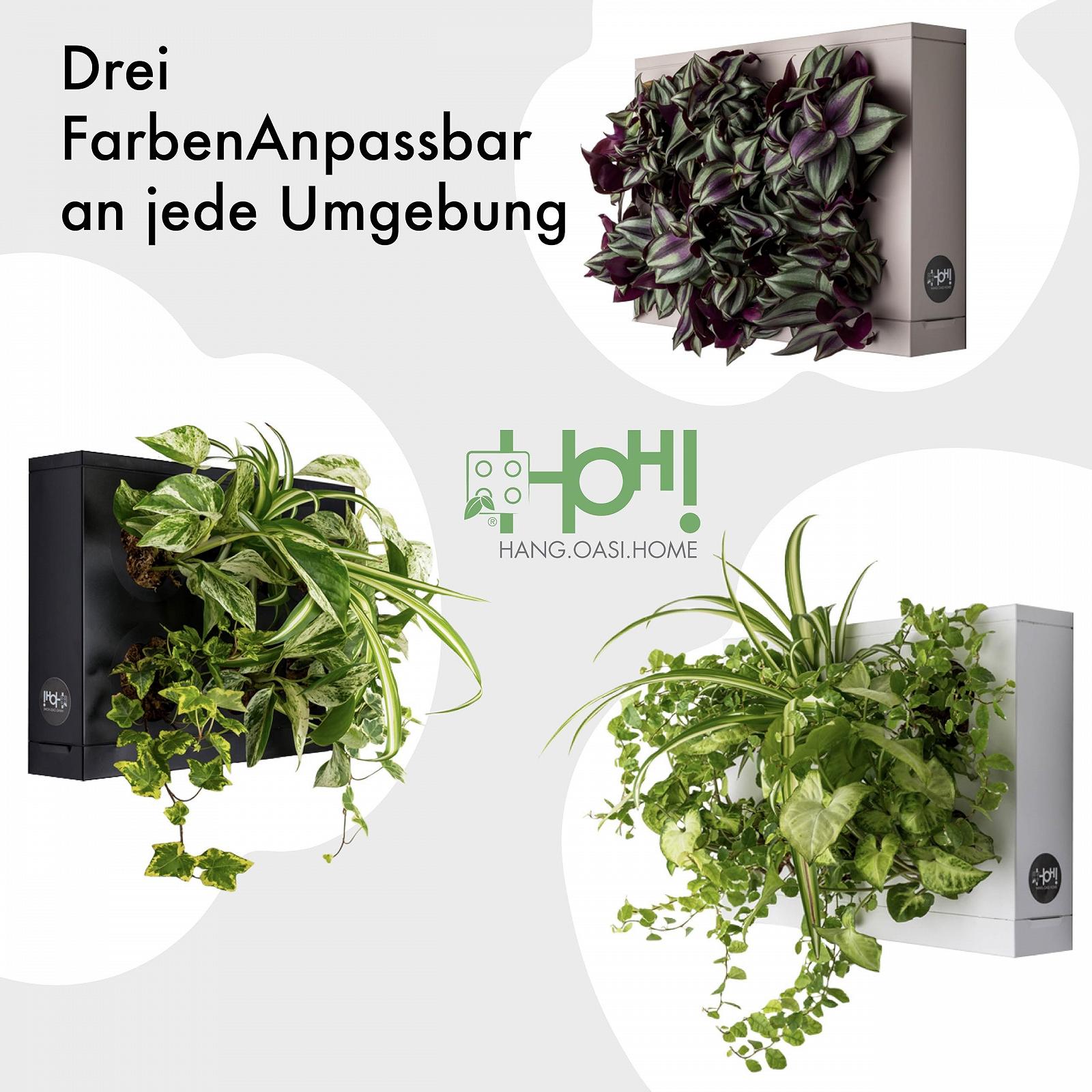 Настінне кашпо Ortisgreen HOH дизайнерське пластикове з мохом Біле, фото №6 Настінне кашпо Ortisgreen HOH дизайнерське пластикове з мохом Біле, фото №6