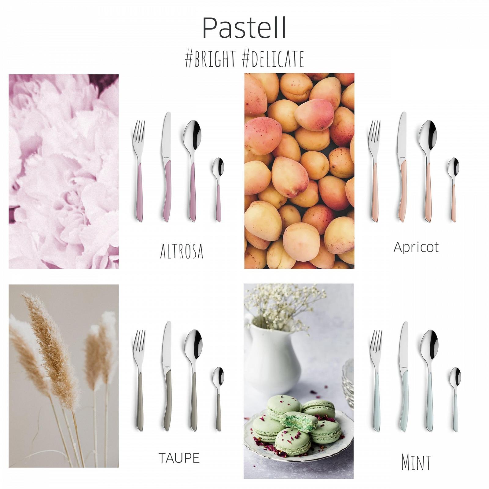 Вилка для торта Kuppels Prism Набор столовых приборов из нержавеющей стали 18/0, 6 штук, на 6 персон, высококачественные пластиковые ручки мятного цвета, нержавеющая сталь, можно мыть в посудомоечной машине, фото №7 Вилка для торта Kuppels Prism Набор столовых приборов из нержавеющей стали 18/0, 6 штук, на 6 персон, высококачественные пластиковые ручки мятного цвета, нержавеющая сталь, можно мыть в посудомоечной машине, фото №7