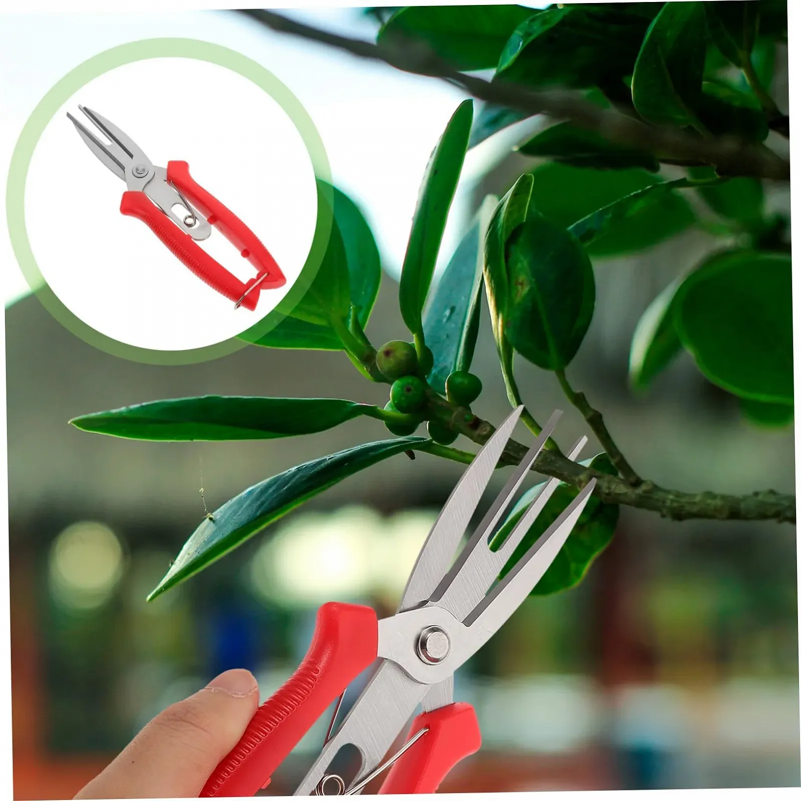 Ножиці для проріджування плодів та квітів Happyyami Червоний, фото №8