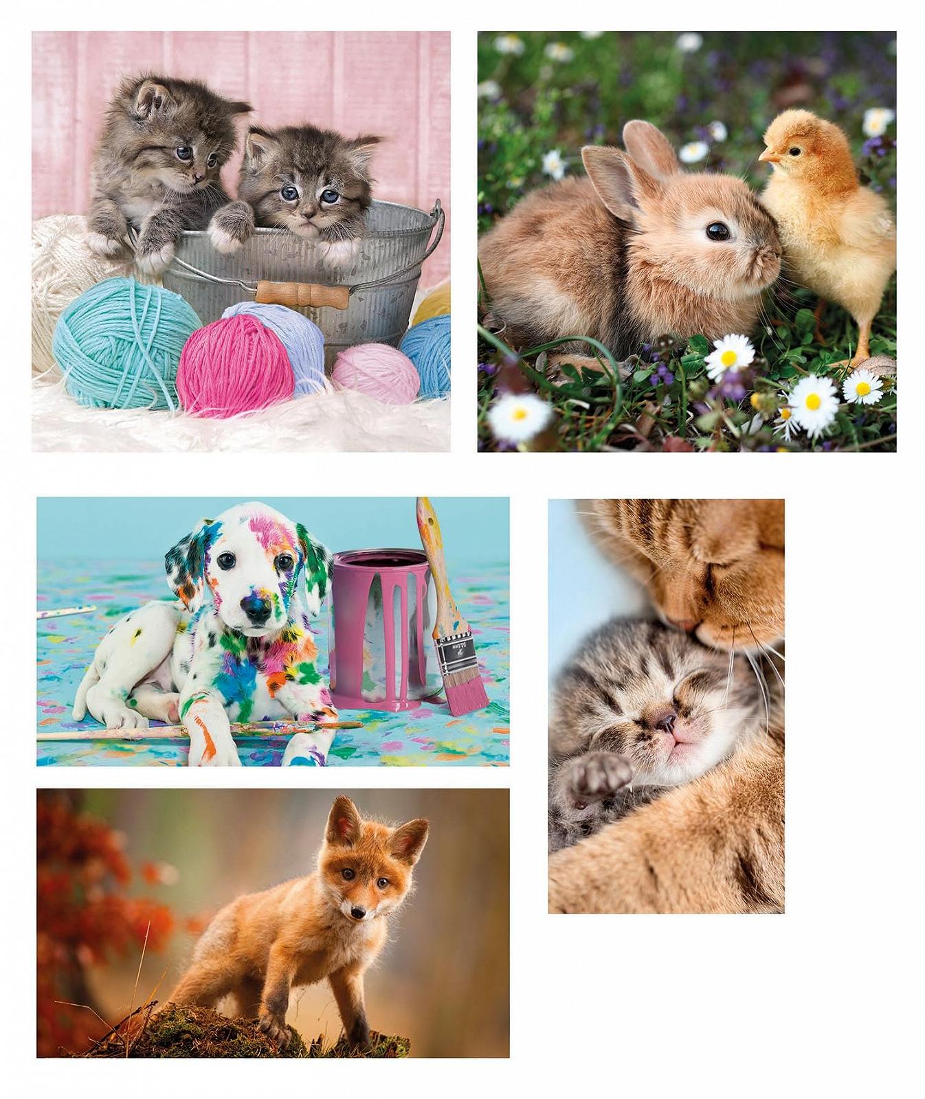 Набор пазлов Clementoni Animal Friends 20283 10-в-1 (3 x 18, 4 x 30, 2 x 48, 1 x 60 шт.) от 4 лет, фото №4