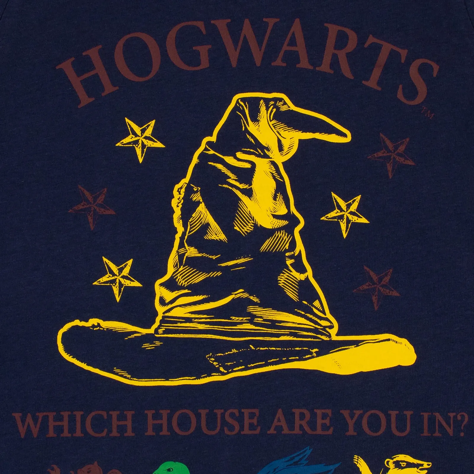 Пижама Harry Potter Hogwarts для девочек, фото №3 Пижама Harry Potter Hogwarts для девочек, фото №3
