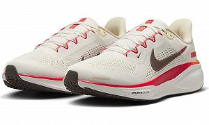 Чоловічі кросівки для бігу по шосе Nike Pegasus 41 synthetic.ua - Фото 1