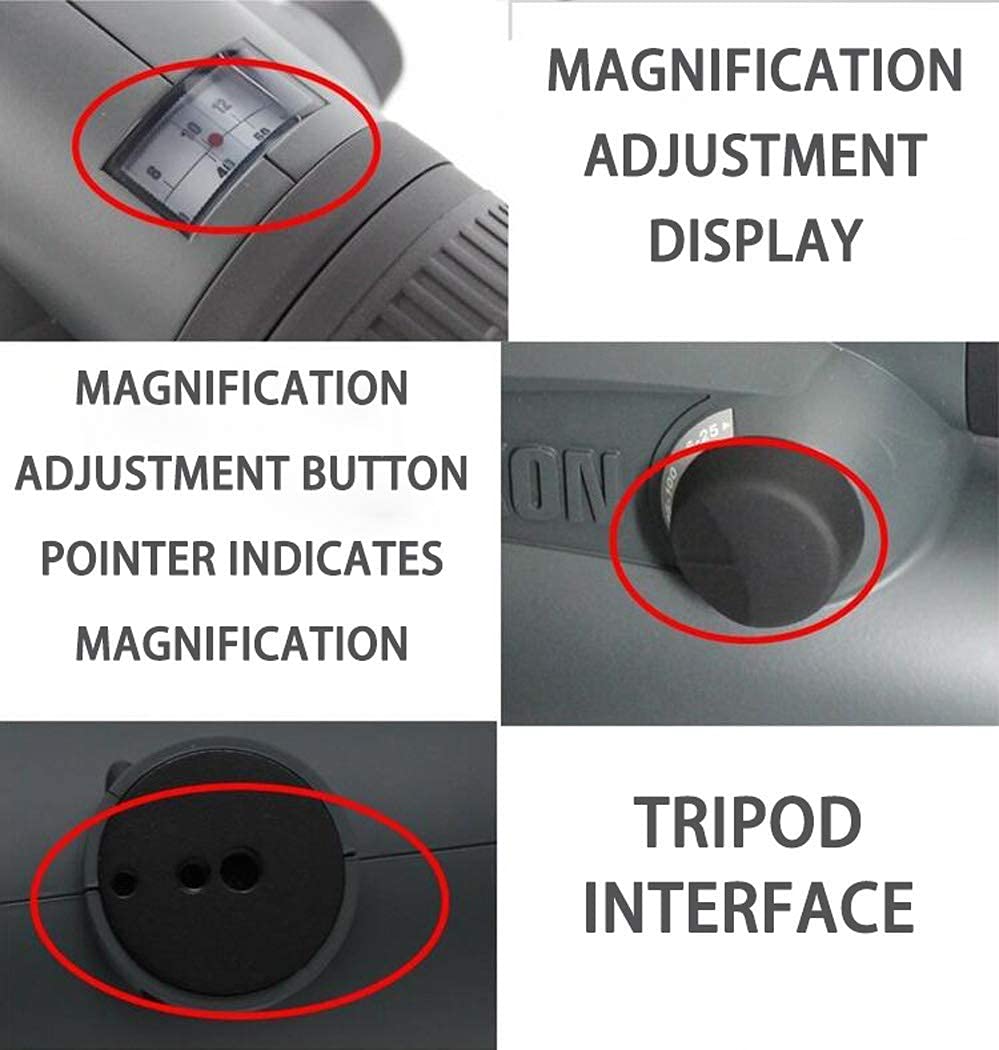 Монокуляр Vogelbeobachtungs Zoom 6-100x100 HD FMC BAK4 Водонепроникний з Штативом, фото №2